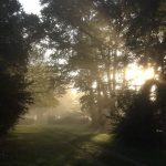 photo parc
